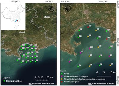 Spatial distribution and risk assessment of heavy metals in seawater and sediments in Jieshi Bay, Shanwei, China